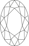 椭圆形